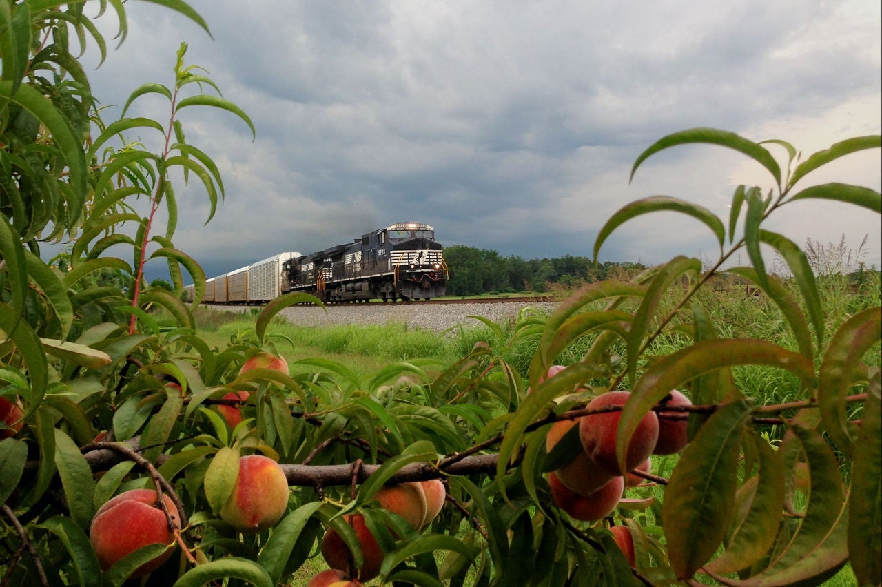 Norfolk Southern Automotive Train; Locust Grove, Georgia
