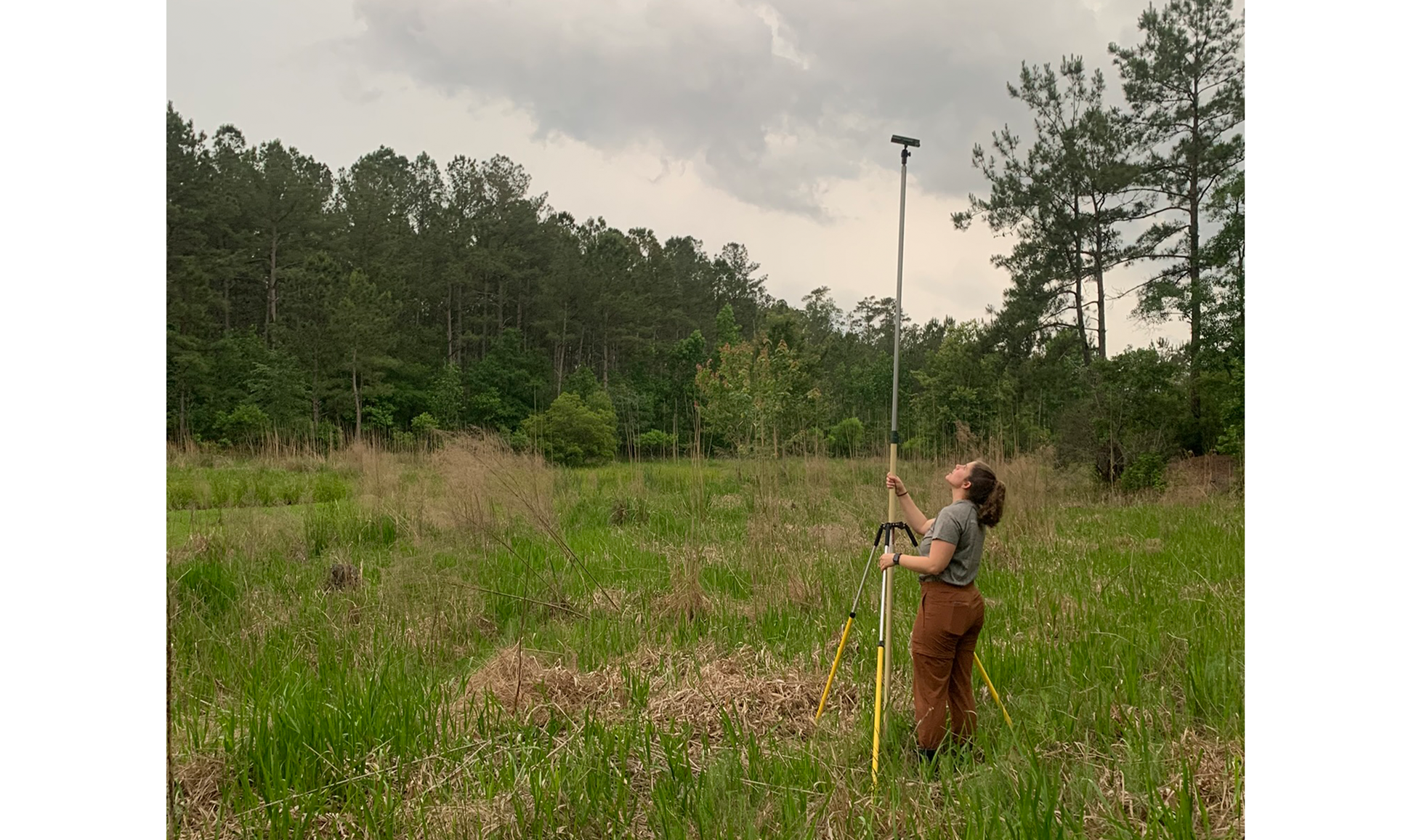 bat detector deployment
