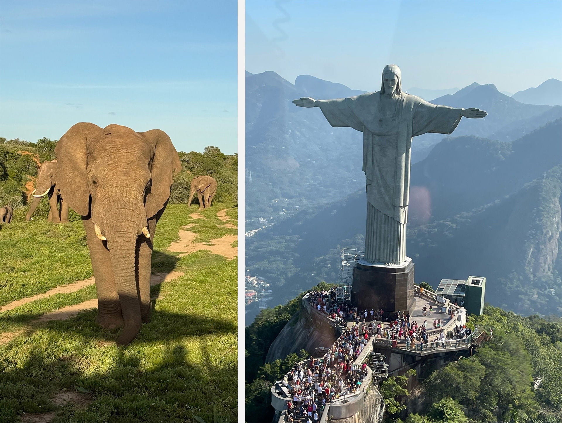 Composite image of Elephant in Africa and Christ the Redeemer statue in Rio de Janeiro