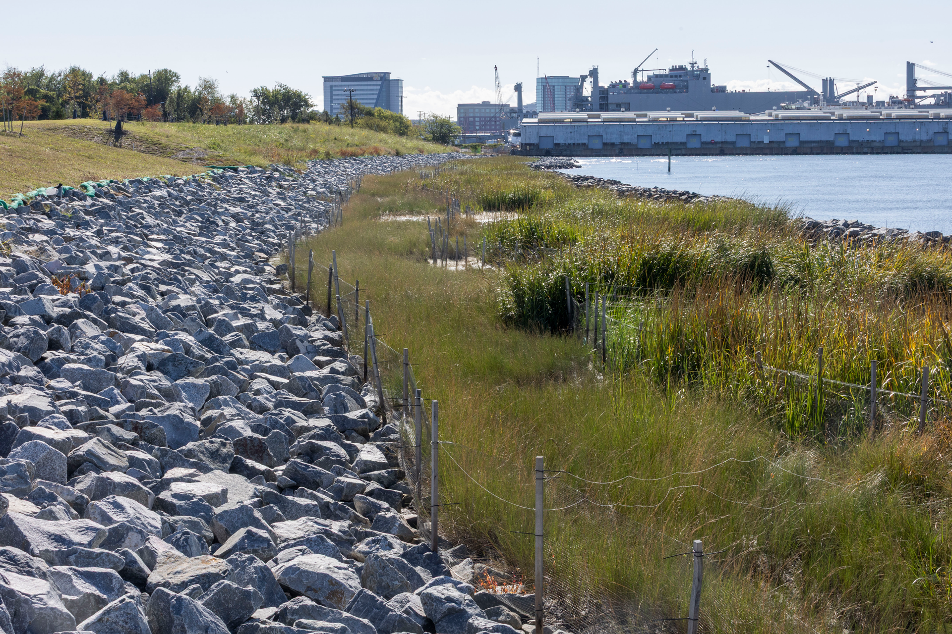 Living Shoreline restoration completion