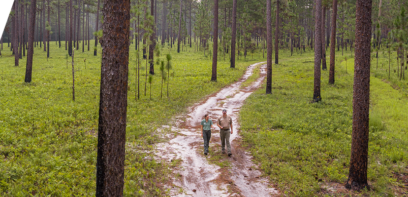Helping You Reach Your Sustainability Goals