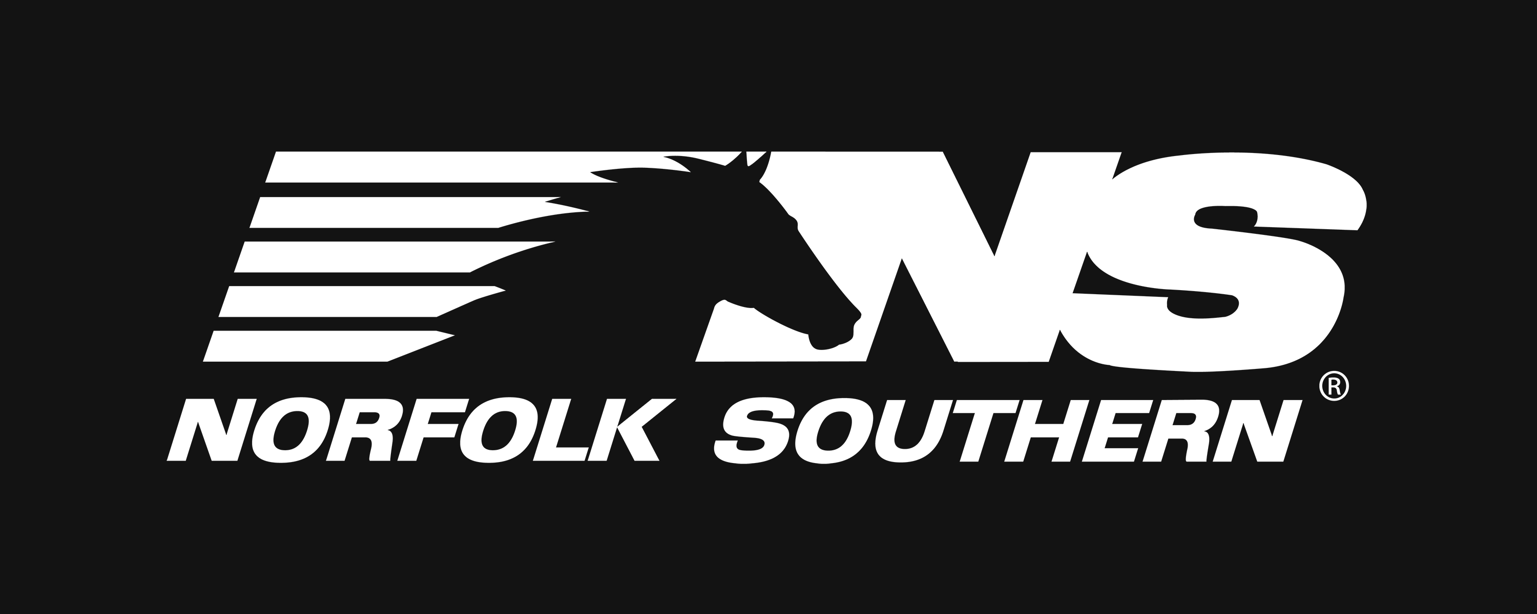 NS Logo - Soaring Name Under (White)