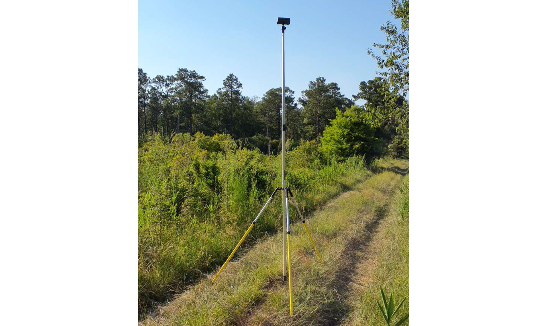 bat detector
