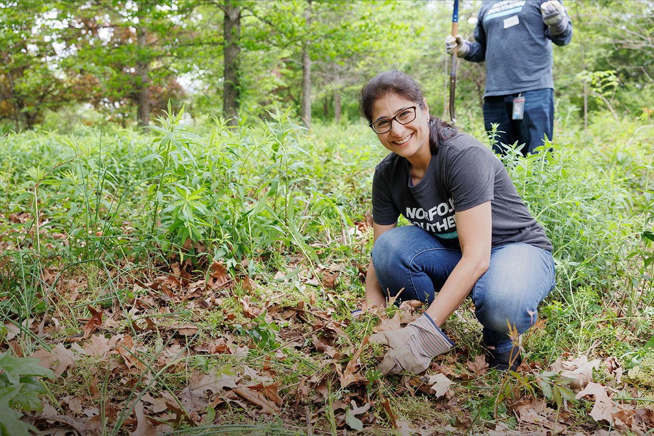 Trees Atlanta names Norfolk Southern ‘Tree Champion of the Year’