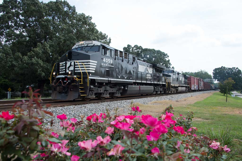 In the foreground are pink flowers in bloom while Locomotive 4059 passes in the background.NS4059_LulaGA_20170826_4413D4S_4413