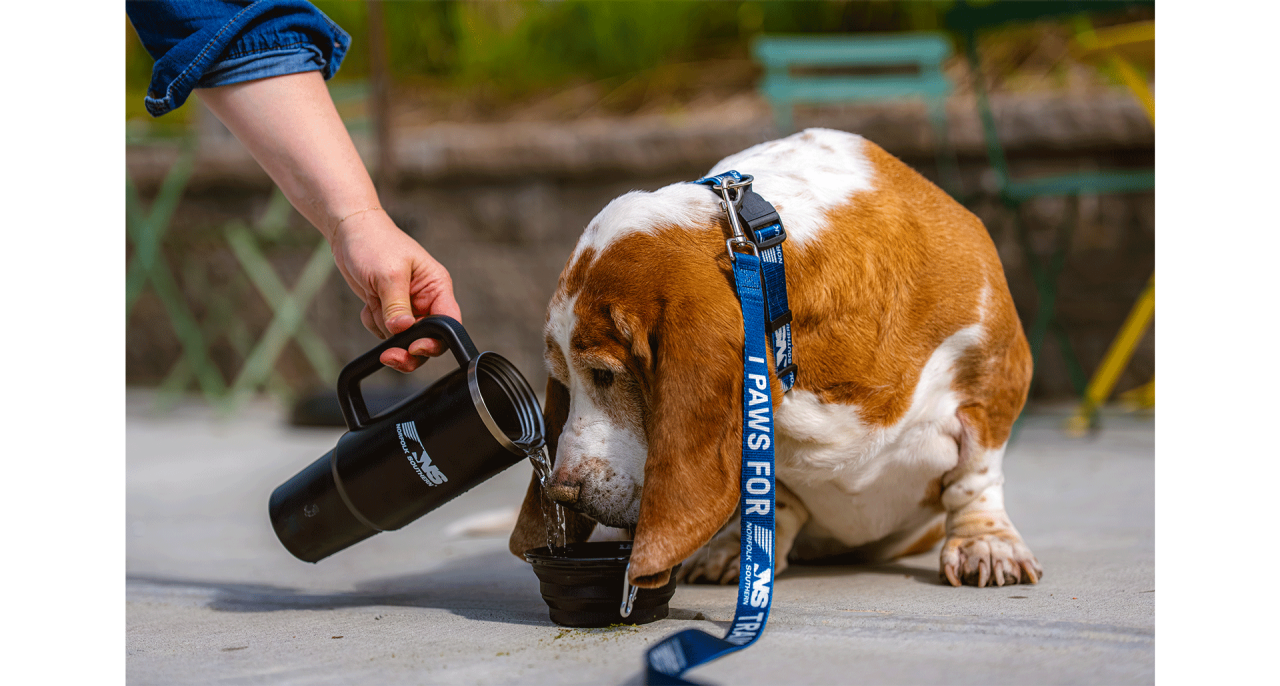 National Pet Month