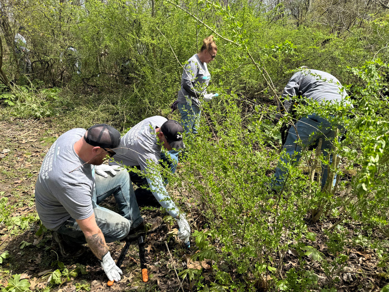 NS Volunteers at a wetland in Fort Wayne, Indiana