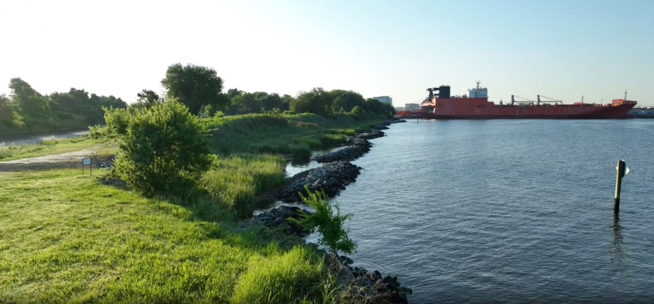 Living-Shoreline-Sept-30